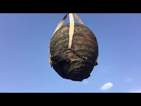 იყიდება ქვევრი 3 ტონიანი .  555171005   ყვარელი . Removal of 3 ton pitcher.116 yrs