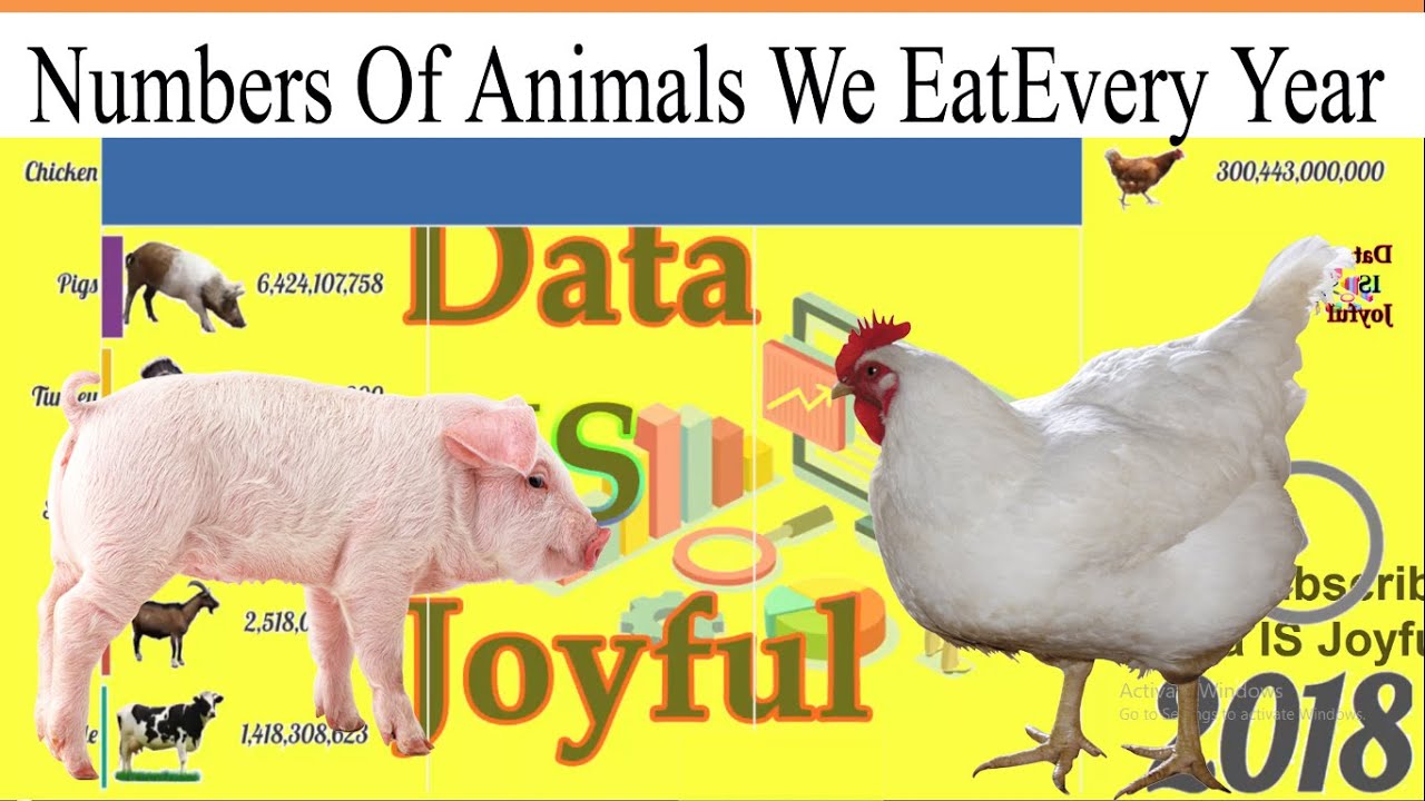 Number Of Animals We Eat Every Year YouTube