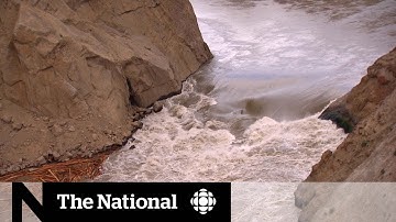 Racing to rescue millions of B.C. salmon stuck behind rock slide