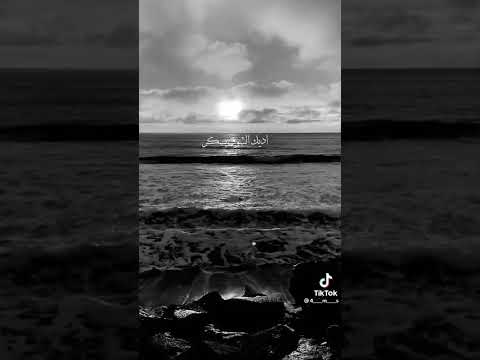 انا ديما فى احتياجك حالات واتس اب 