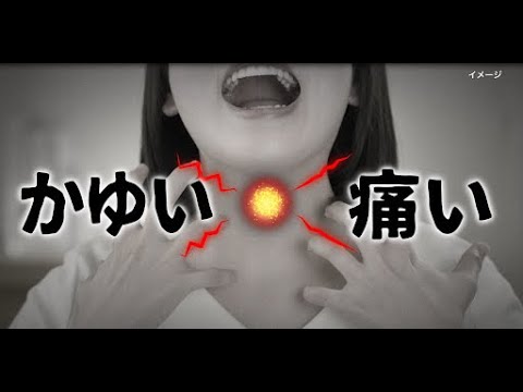 カユノード「原因」篇（KYN-0303）