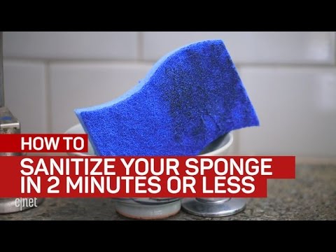 Sanitize your sponge in 2 minutes or less