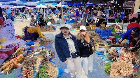 Khám Phá Thảo Dược Ngâm Rượu Bắc Hà – Đặc Sản Quý Hiếm Của Tây Bắc