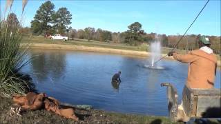 Vehicle Recovery In A Pond.