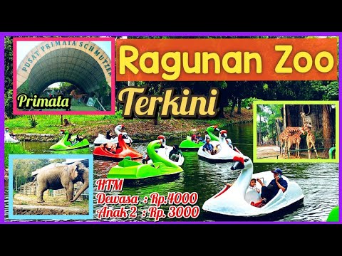 Ragunan Zoo Terkini
