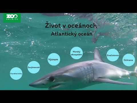 Video: Prúdy svetového oceánu – pohyb a život