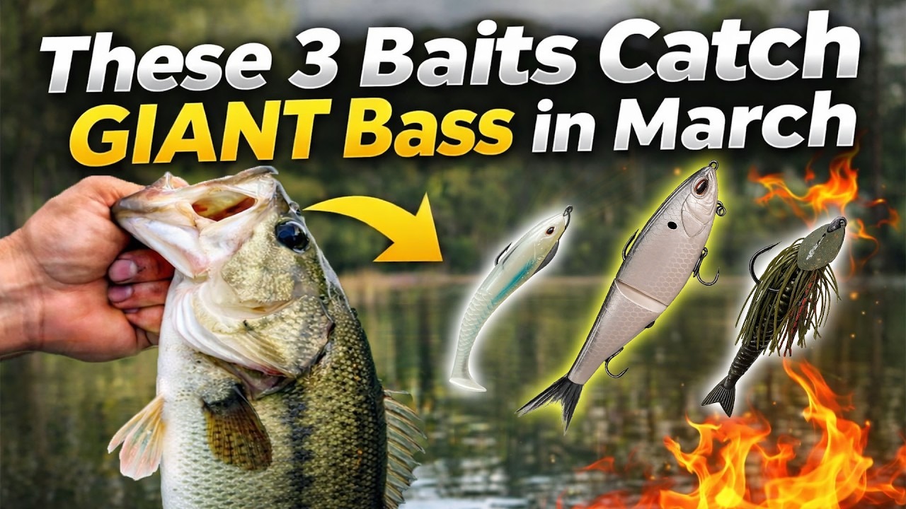 If You Want your PB this spring… Try THESE 3 Baits!
