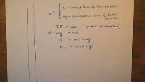 Physics of an Elevator Ride