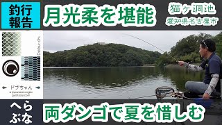 ダイワ 月光柔10尺で去りゆく夏を惜しむ両ダンゴ 猫ヶ洞池【へらぶな 