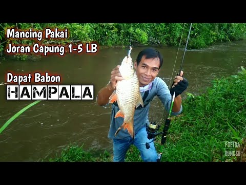 Mancing Ikan Hampala Dan Tawes Dengan Teknik Casting Di Sungai Brantas Mancing Patria 08 07 19 Youtube