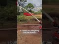 A Firefighting Robot Dog in Action