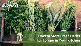 Cooking Hack for Storing Your Fresh Herbs
