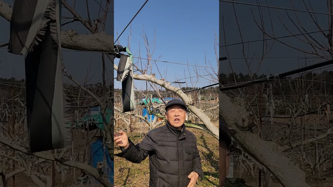 감박사 마이스터 