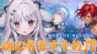 智念せいら / Seira Chinenの配信のサムネイル画像