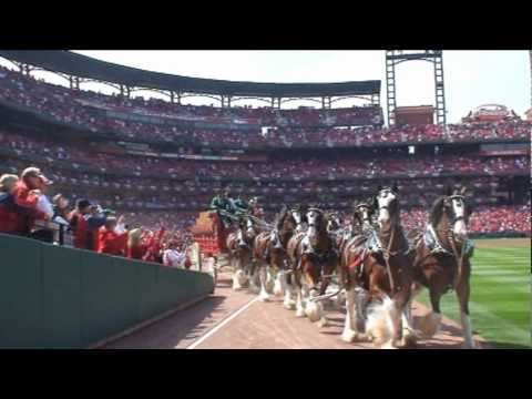 Alex meets the famous Budweiser Clydesdales as part of World Wish Day on April 29, 2011