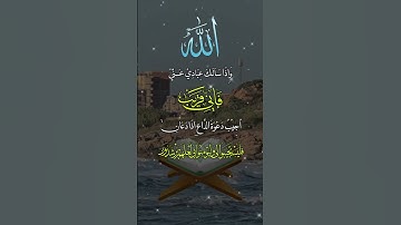 تلاوة خاشعة لآيات من كتاب الله #القرآن_الكريم #القرآن #المصحف #اكسبلور #foryou #viral #fyp