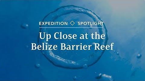 Exploring the Belize Barrier Reef | Expedition Spotlight | Lindblad Expeditions