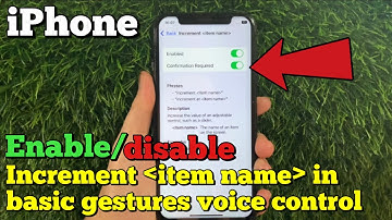 How to enable or disable increment item name in basic gestures voice control on iPhone X