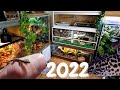 Unique Reptile Room Tour 2022