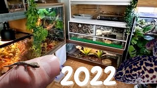Unique Reptile Room Tour 2022