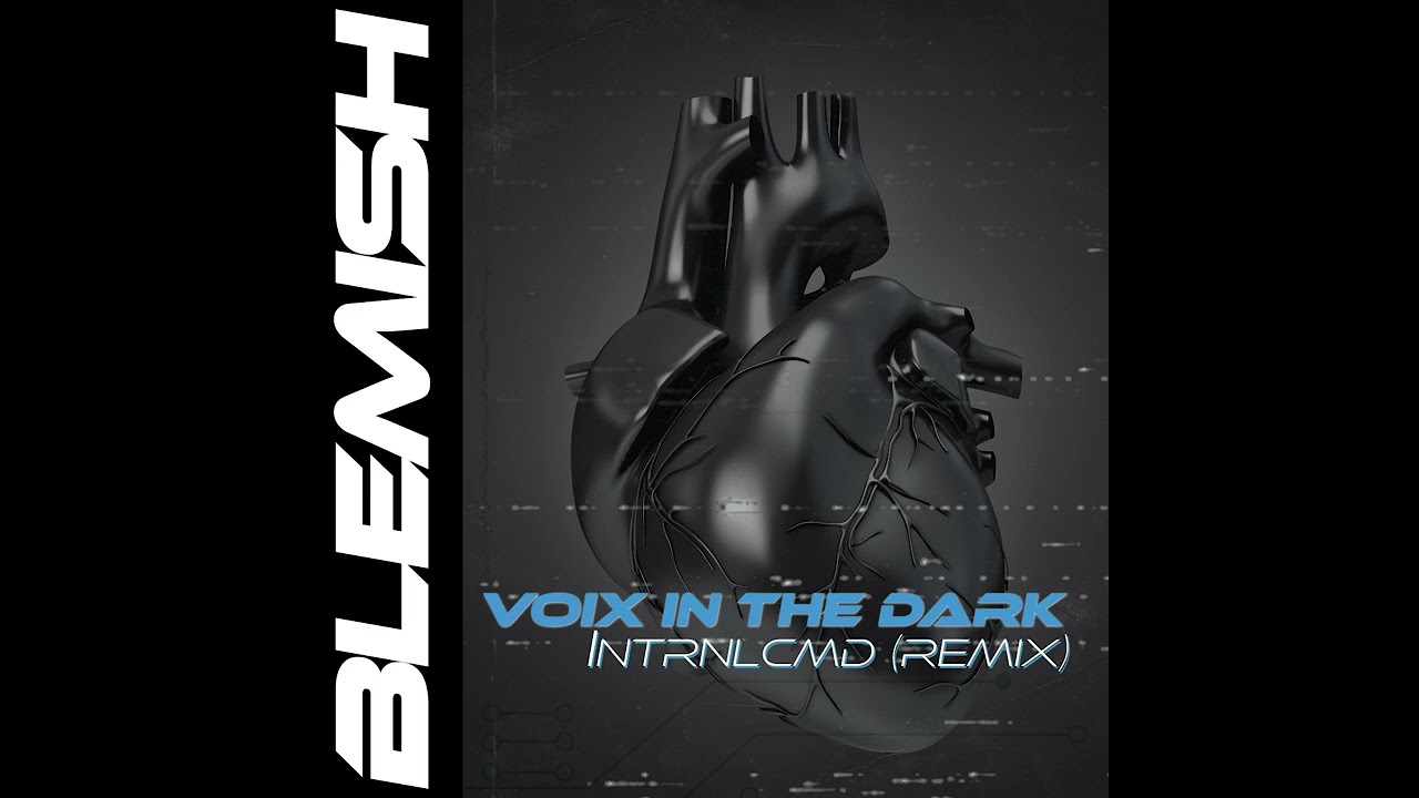 voix in the dark - Blemish [Full Single]