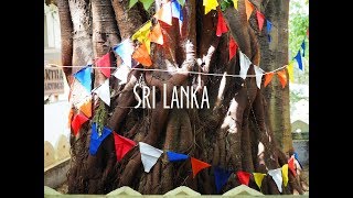 Le Sri Lanka à 27 - Cap Monde