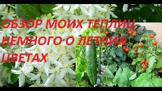 ОБЗОР МОИХ ТЕПЛИЦ И НЕМНОЖКО О ЦВЕТАХ