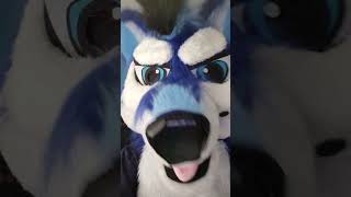 Ehhh Dont Know What Happened Here