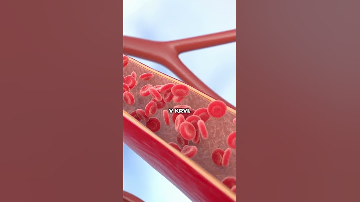 7 z 10 čechů má vysoký cholesterol!