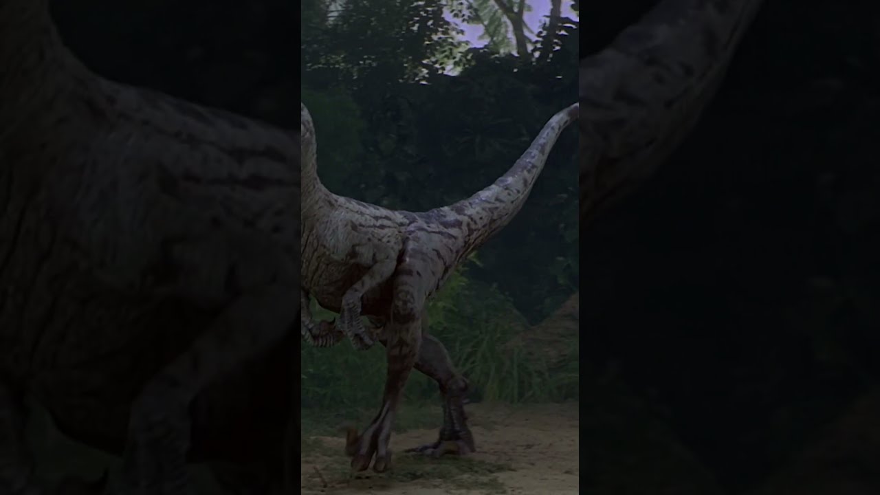 Jurassic Park Junior Raptor Capture Toy - Hasbro - - Playset