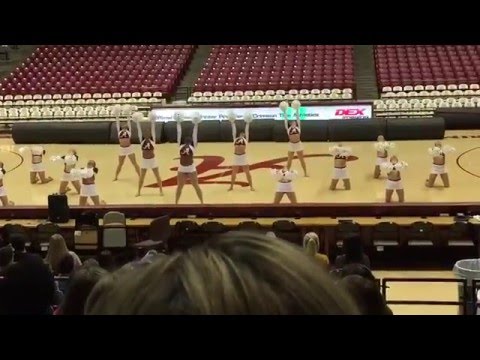 university-of-alabama-dance-team-2015