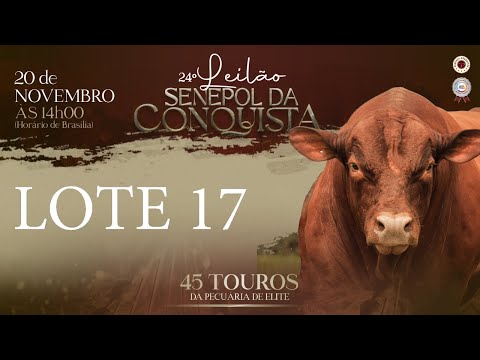 LOTE 17 CONQ 2290