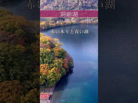 青い湖と紅葉~北海道洞爺湖町・洞爺湖~ #shorts #北海道 #洞爺湖 #紅葉 #ドローン