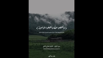تلاوة من ﴿ سورة التغابن ﴾ للقارئ صلاح الباجي