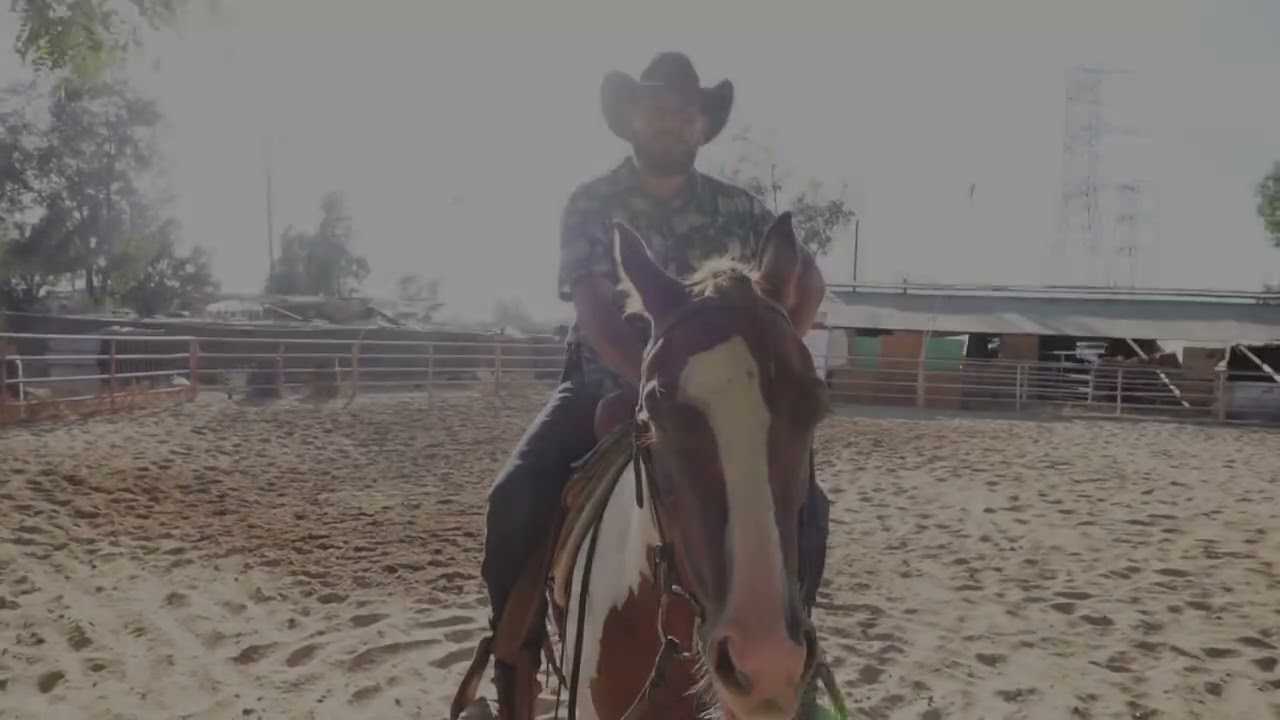 Semana 3: Como iniciar potros a la rienda!!  session completa de trabajo Buscando los Lados