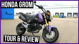 Honda GROM MSX125 Review: Mods, Ownership Impressions & Exhaust