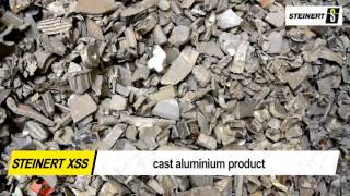 Lybover RECYCLING (BULK .ID) - Upgrade ZORBA using STEINERT xray sensor based sorting solutions