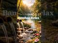 Relaxing Bamboo Water Sounds for Meditation &amp; Deep Relaxation 🌿💧 #bamboorelaxation #relaxingmusic