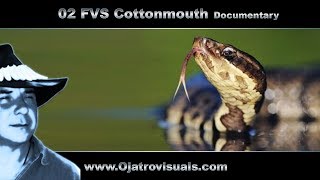 02 Fvs Cottonmouth Remastered