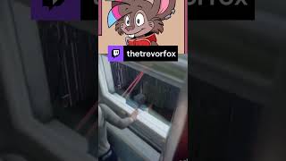 Bird slam! | thetrevorfox on #Twitch