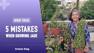 Avoid These 5 Mistakes When Growing Jade | जेड में इन 5 गलतियों से बचें और बनाएं सुंदर शेप्स