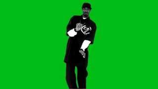 Snoop Dogg на зелёном фоне