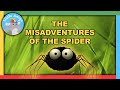 Minuscule  best of the spider   compilation   little amigo