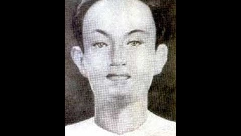 PHIM TÀI LIỆU  PHAN NGỌC HIỂN - NHÀ VĂN YÊU NƯỚC