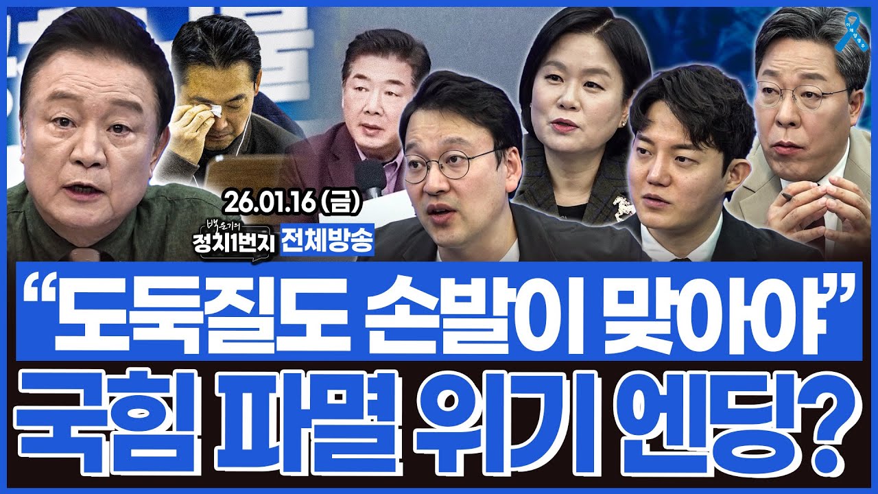 "도둑질도 손발이 맞아야" 굴러 들어온 돌 고성국에 휘청하는 국힘?