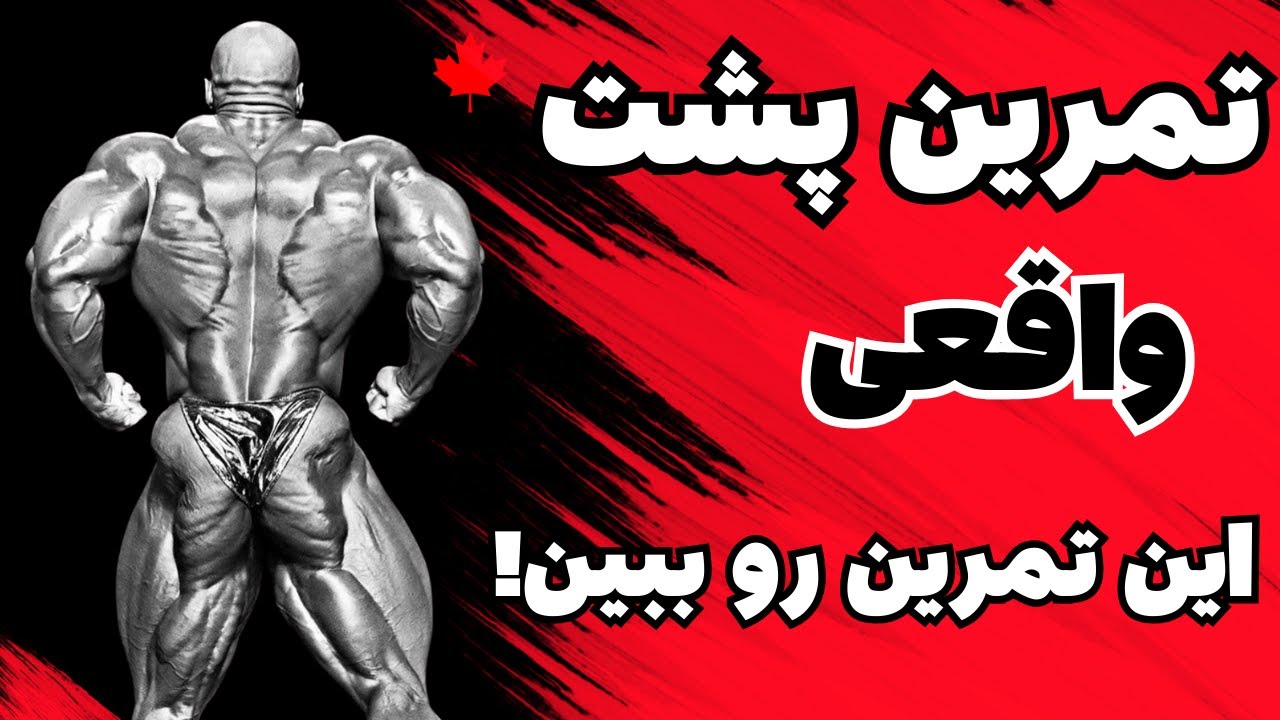 راز پشت‌های عریض روی استیج | تمرین اصولی عظلات پشت