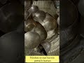 How To Wash Peetal Bartan || #ytshorts #brassitems