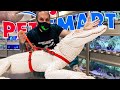 TAKING MY ALBINO ALLIGATOR TO PETSMART TO PICK OUT AN OUTFIT!! | BRIAN BARCZYK