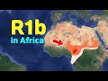 Are the people in africas r1b europeanr1bv88