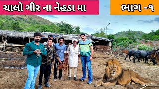 ચાલો ગીર ના નેહડા મા | gir forest | gujrati vlog | gir jungle | lion of gir | maldhari of gir | vlog